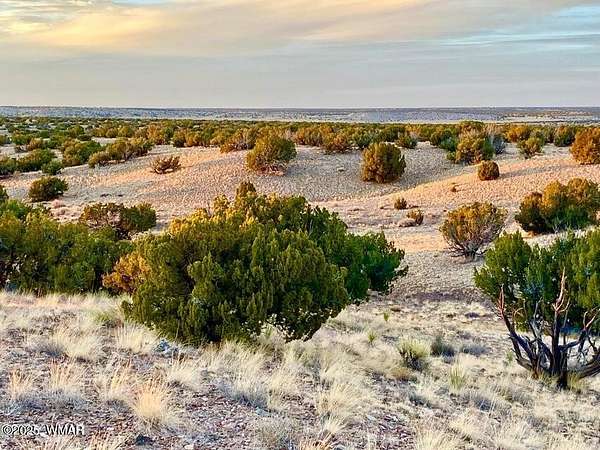 36.3 Acres of Recreational Land for Sale in St. Johns, Arizona