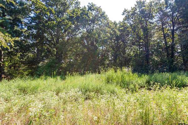 4 Acres of Residential Land for Sale in Winona, Texas