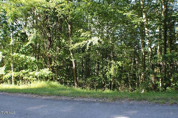 0.89 Acres of Residential Land for Sale in Mountain City, Tennessee