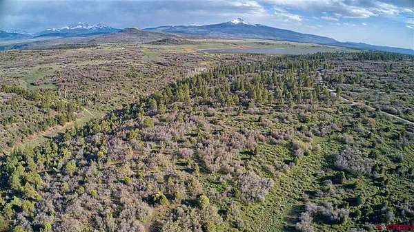 35.2 Acres of Recreational Land for Sale in Norwood, Colorado