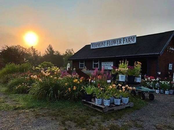 4.45 Acres of Commercial Land for Sale in Marshfield, Vermont