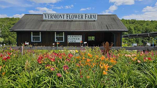 4.45 Acres of Commercial Land for Sale in Marshfield, Vermont