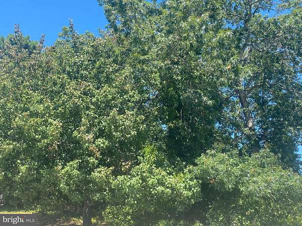 3 Acres of Land for Sale in Barnegat, New Jersey