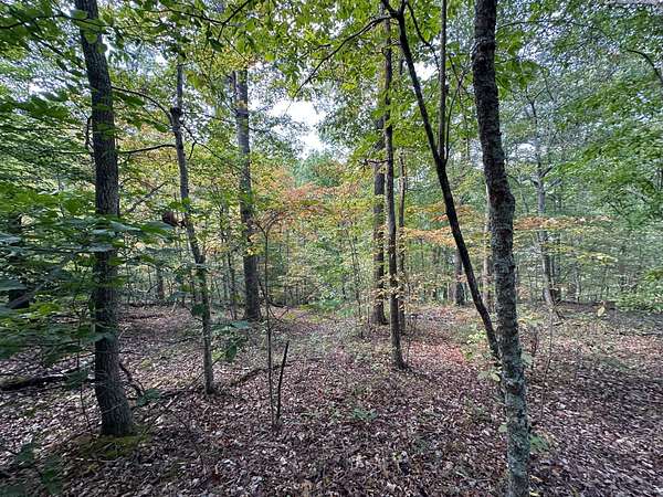 18 Acres of Land for Sale in Grayson, Kentucky
