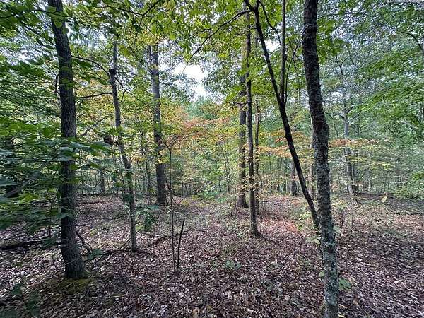 18 Acres of Agricultural Land for Sale in Grayson, Kentucky