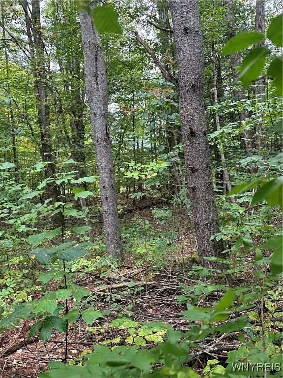 26.1 Acres of Recreational Land for Sale in Great Valley, New York