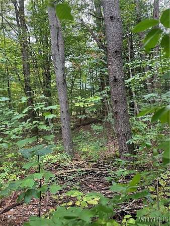 26.1 Acres of Recreational Land for Sale in Great Valley, New York
