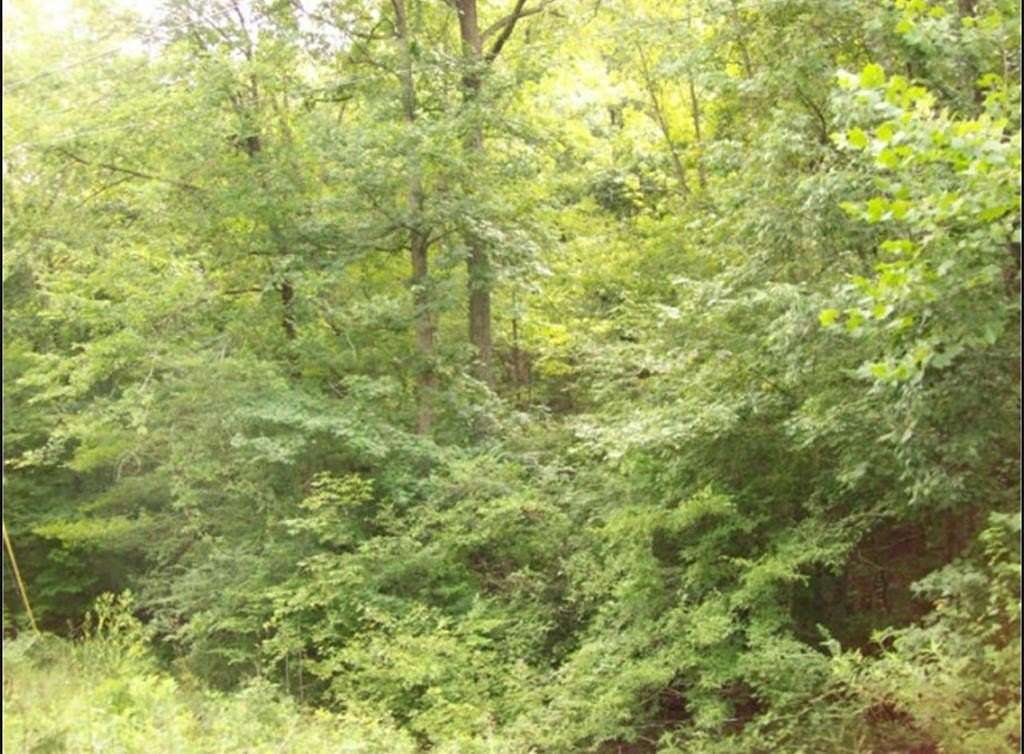 4.85 Acres of Residential Land for Sale in Chatsworth, Georgia