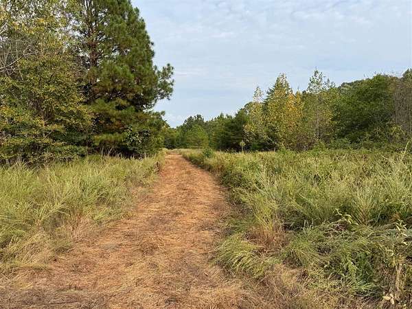 69.7 Acres of Recreational Land for Sale in Graham, Kentucky