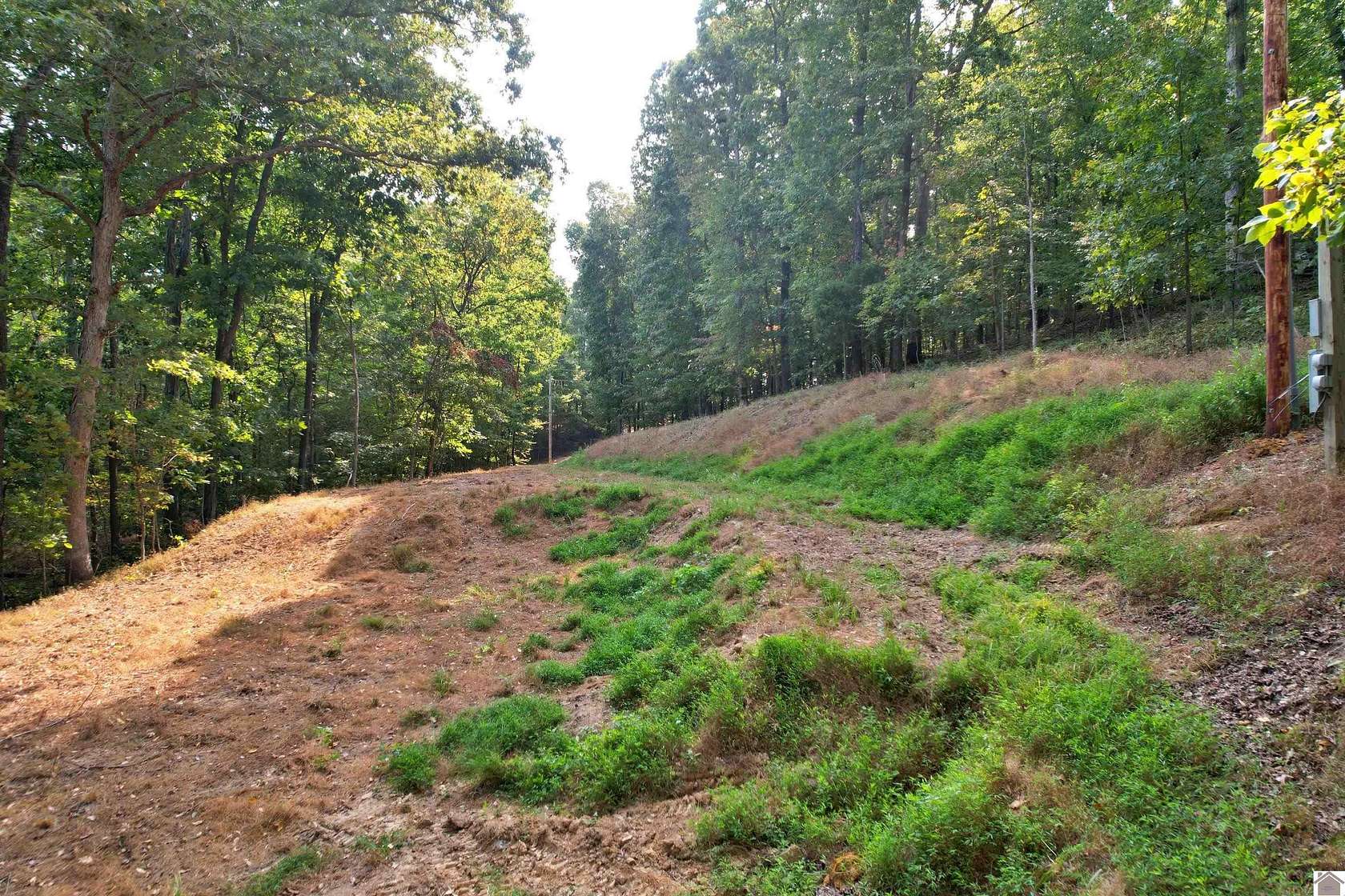 1.88 Acres of Residential Land for Sale in Gilbertsville, Kentucky