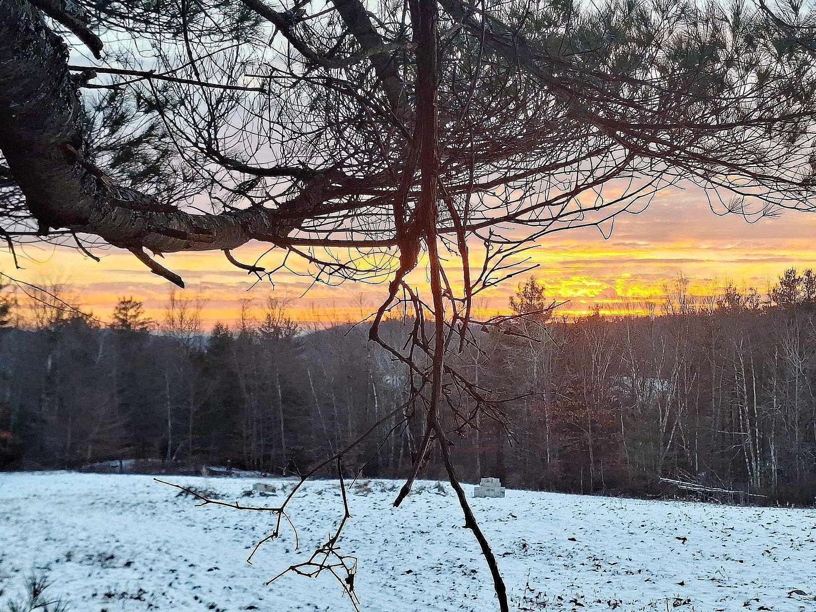 6 Acres of Residential Land for Sale in Springfield, Vermont