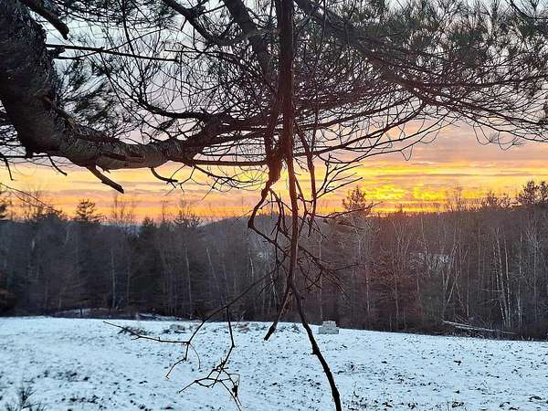 6 Acres of Residential Land for Sale in Springfield, Vermont