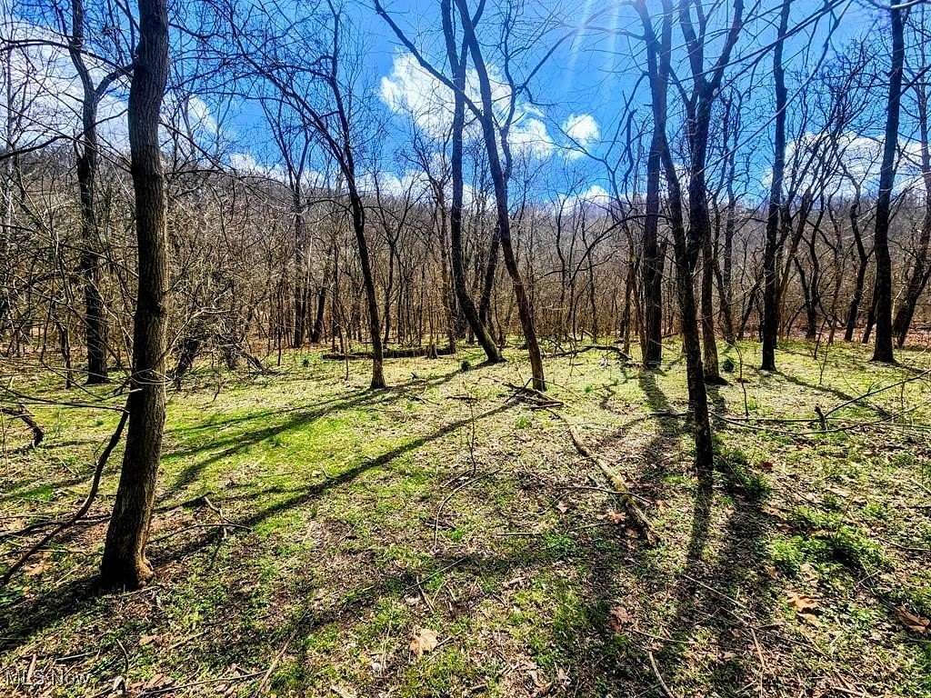 17 Acres of Land for Sale in Weirton, West Virginia