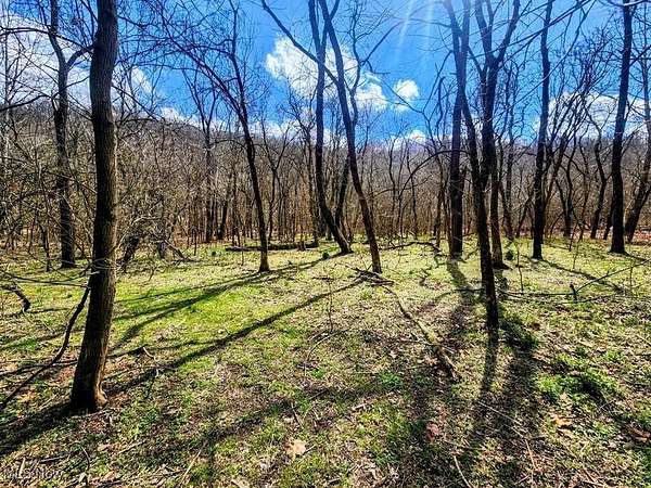 17 Acres of Land for Sale in Weirton, West Virginia