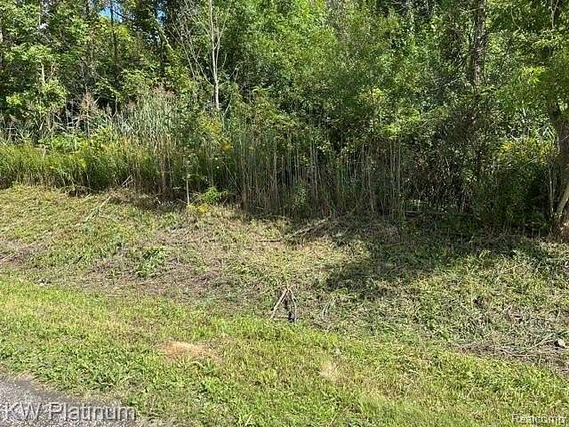 1 Acre of Residential Land for Sale in Kimball Township, Michigan