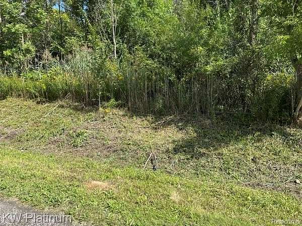 1 Acre of Residential Land for Sale in Kimball Township, Michigan