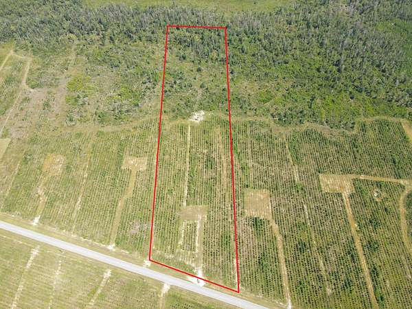 11.3 Acres of Land for Sale in Blountstown, Florida