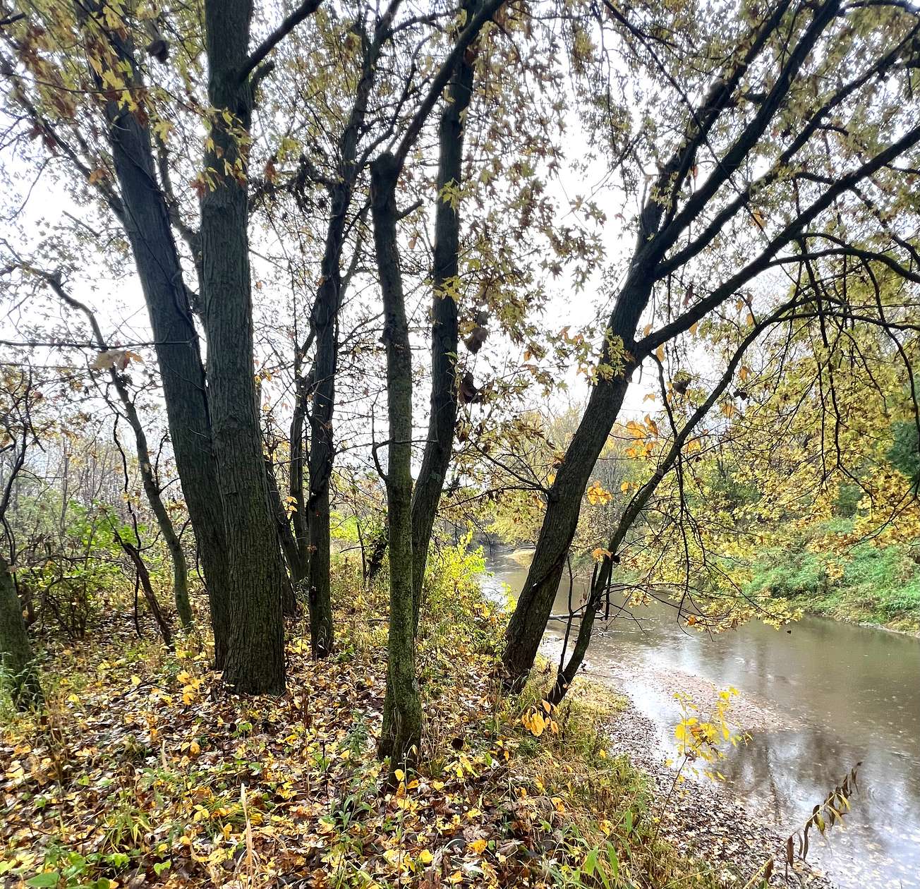 21.7 Acres of Recreational Land for Sale in Viola, Illinois