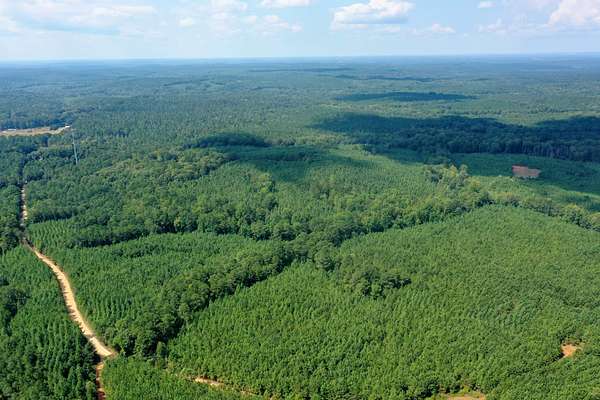 78 Acres of Recreational Land for Sale in Franklin, Georgia