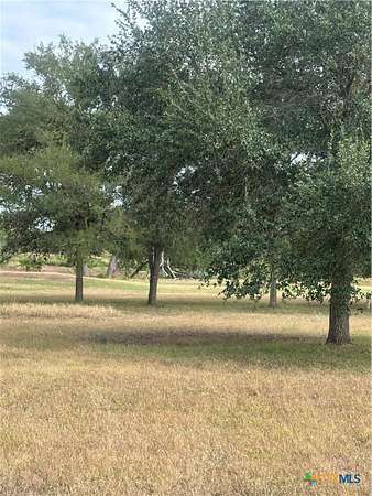 0.27 Acres of Land for Sale in Seguin, Texas