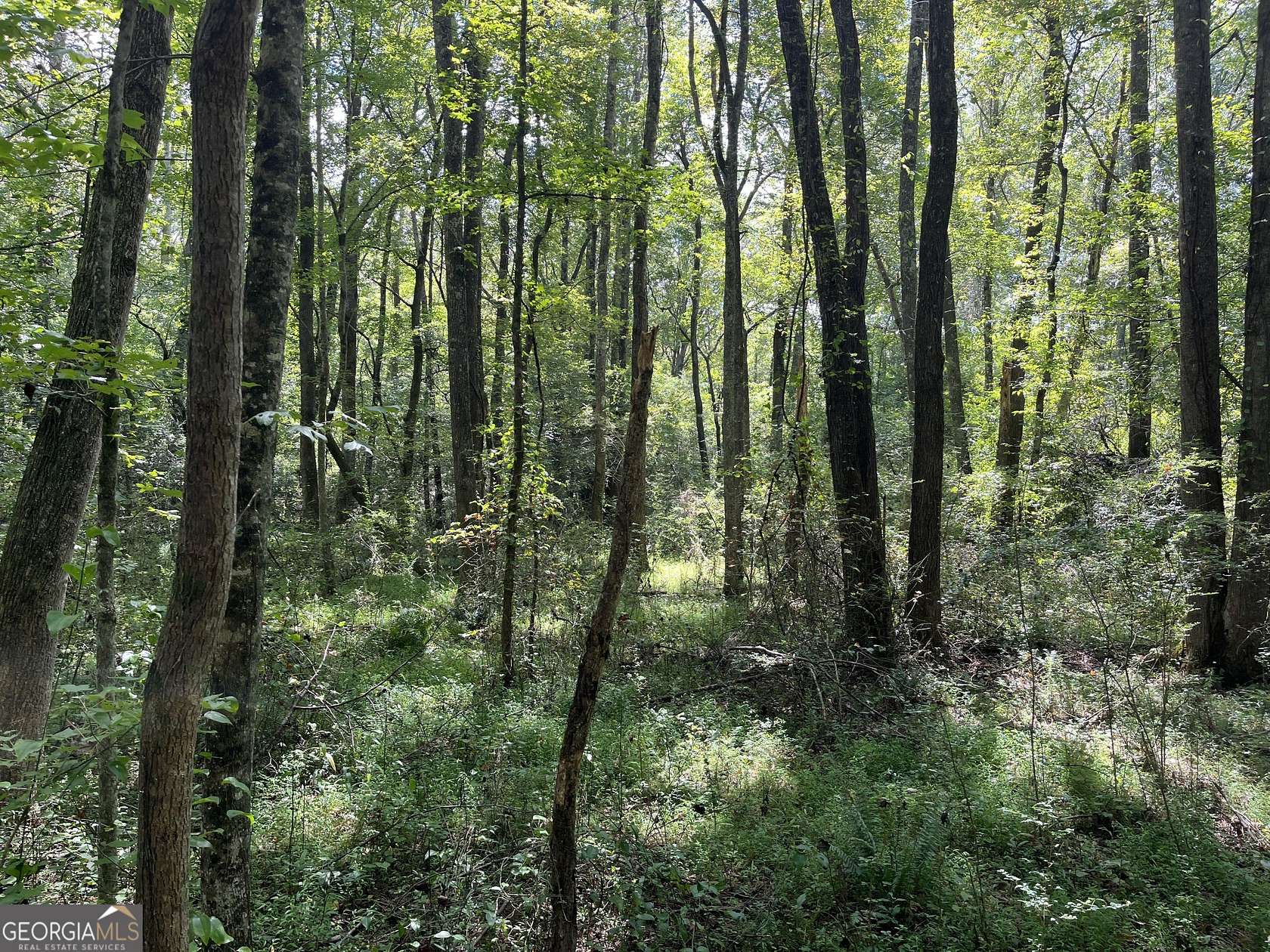 8 Acres of Residential Land for Sale in Tallapoosa, Georgia