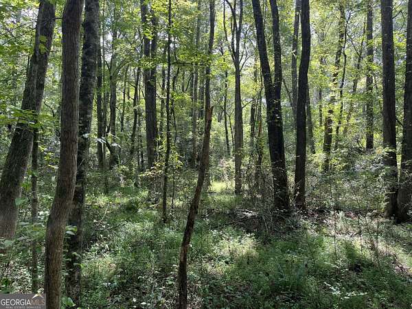 8 Acres of Residential Land for Sale in Tallapoosa, Georgia