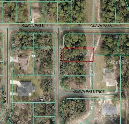 0.32 Acres of Residential Land for Sale in Ocklawaha, Florida