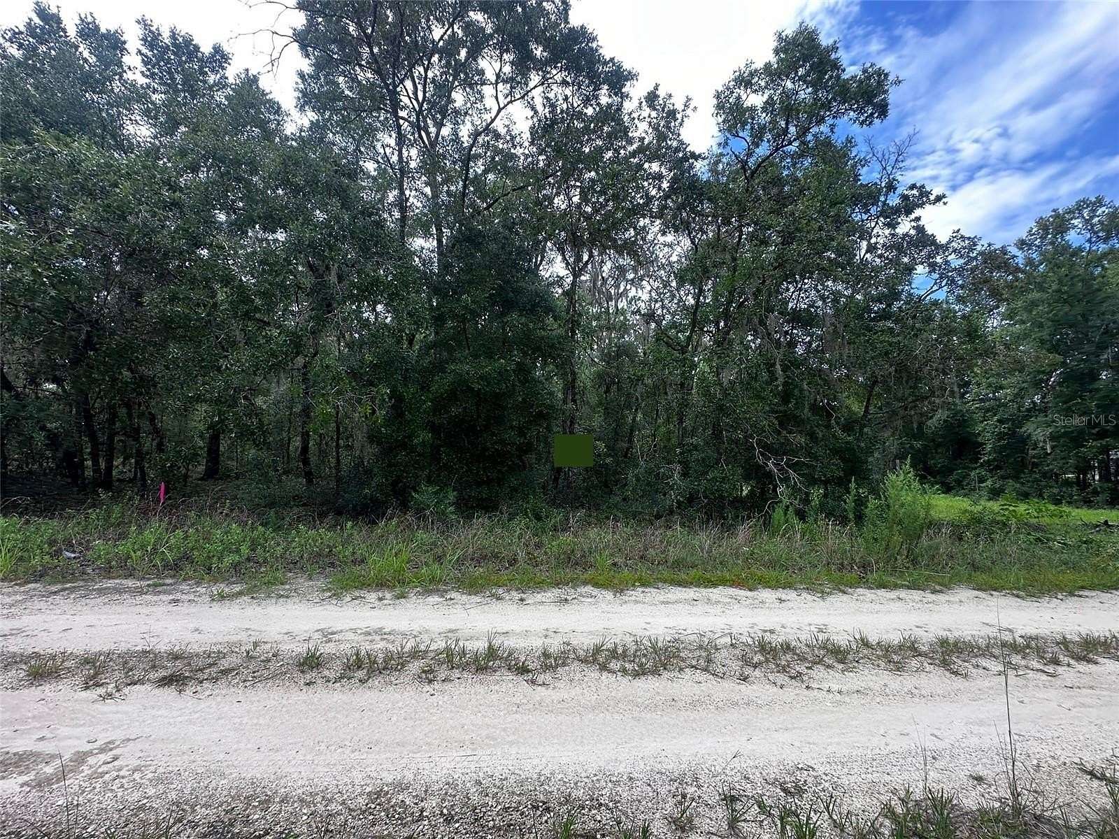 0.23 Acres of Land for Sale in Williston, Florida