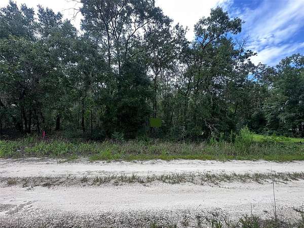 0.23 Acres of Land for Sale in Williston, Florida