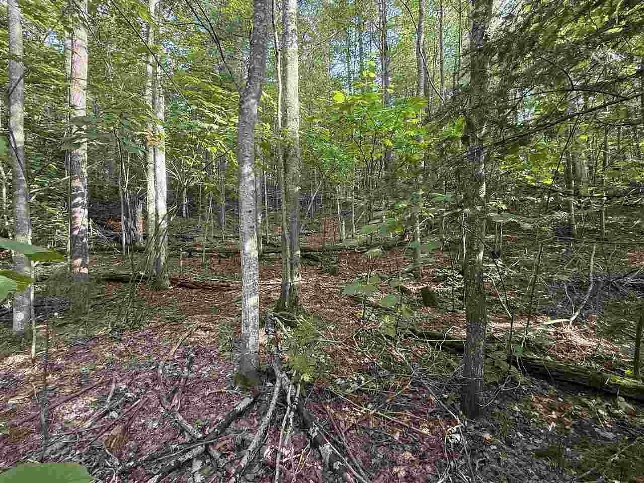 0.98 Acres of Residential Land for Sale in Charlevoix, Michigan