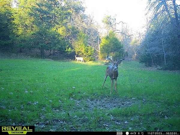 146 Acres of Recreational Land with Home for Sale in Bennington, Oklahoma