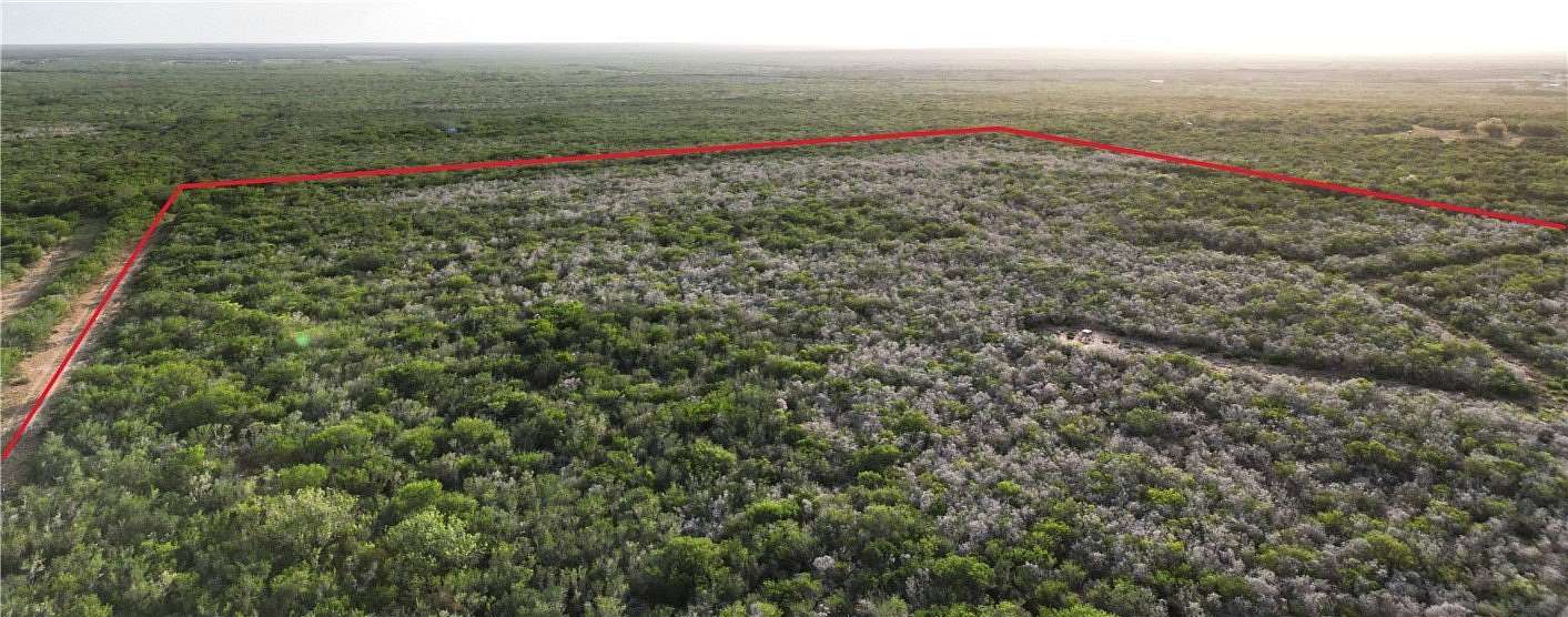 18 Acres of Agricultural Land for Sale in San Diego, Texas