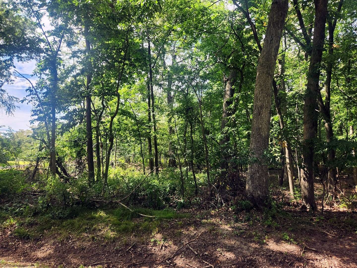 Residential Land for Sale in Varna, Illinois