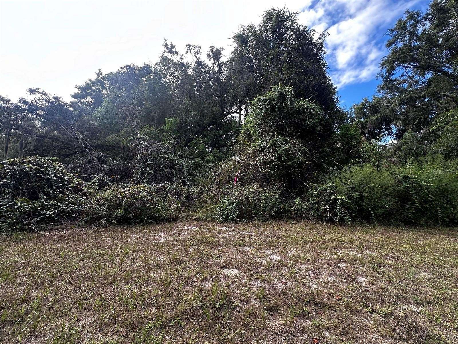 0.28 Acres of Land for Sale in Inglis, Florida