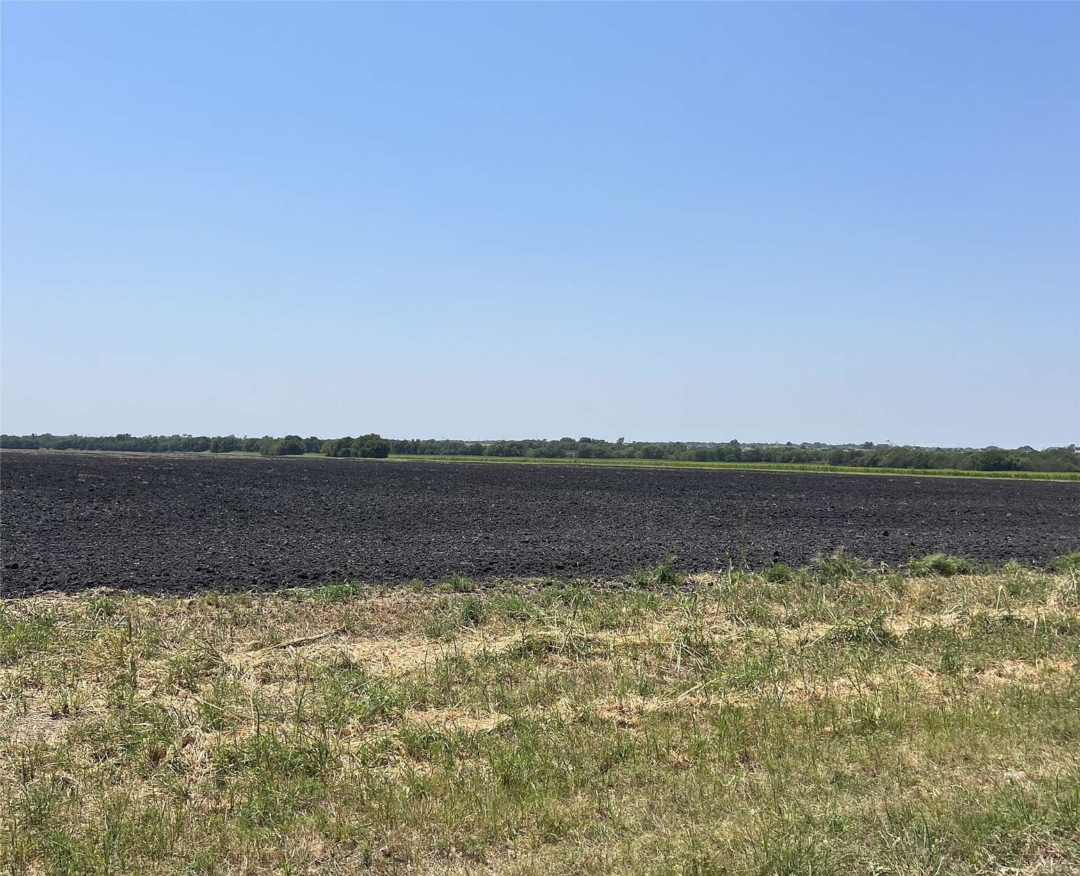 25 Acres of Agricultural Land for Sale in Nevada, Texas