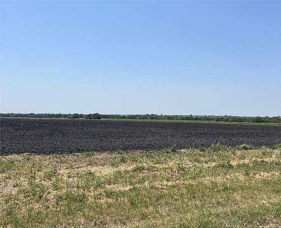 25 Acres of Agricultural Land for Sale in Nevada, Texas