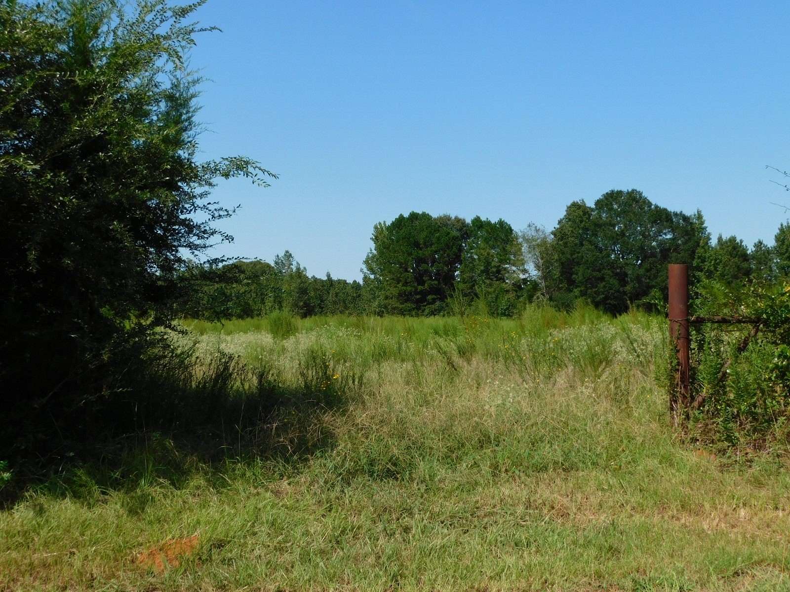 82.5 Acres of Land for Sale in Sarepta, Louisiana