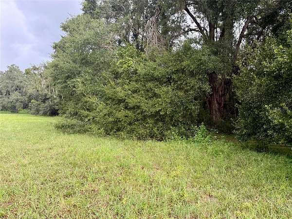 3 Acres of Residential Land for Sale in Webster, Florida
