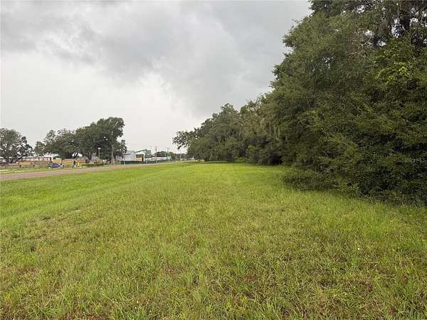3 Acres of Residential Land for Sale in Webster, Florida