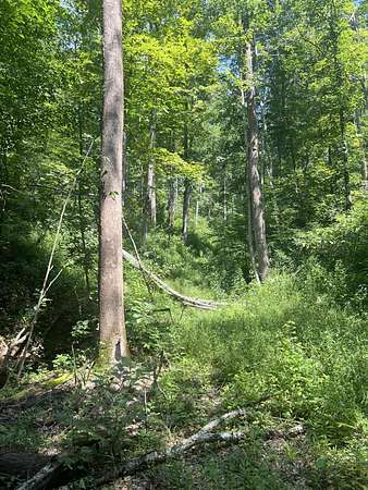 50 Acres of Recreational Land & Farm for Sale in Salyersville, Kentucky