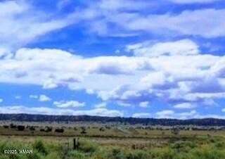 2.24 Acres of Residential Land for Sale in Chambers, Arizona