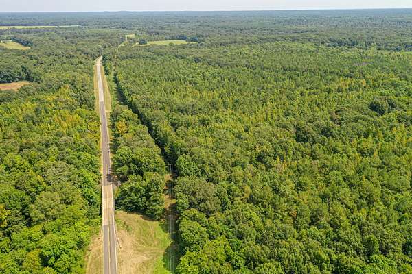 68 Acres of Recreational Land for Sale in Pheba, Mississippi