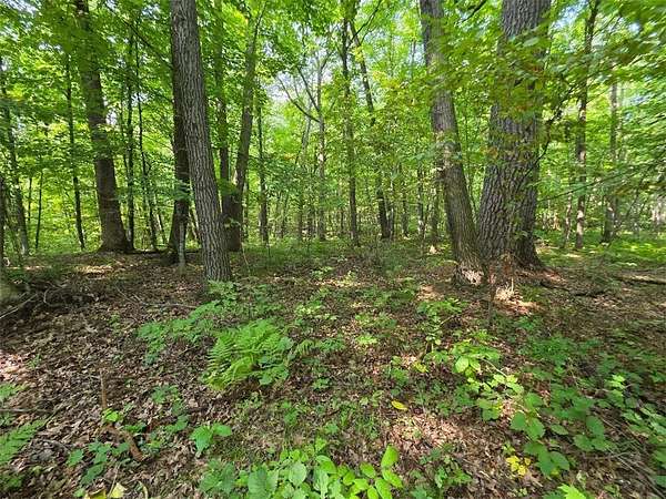 30 Acres of Recreational Land for Sale in Cumberland, Wisconsin
