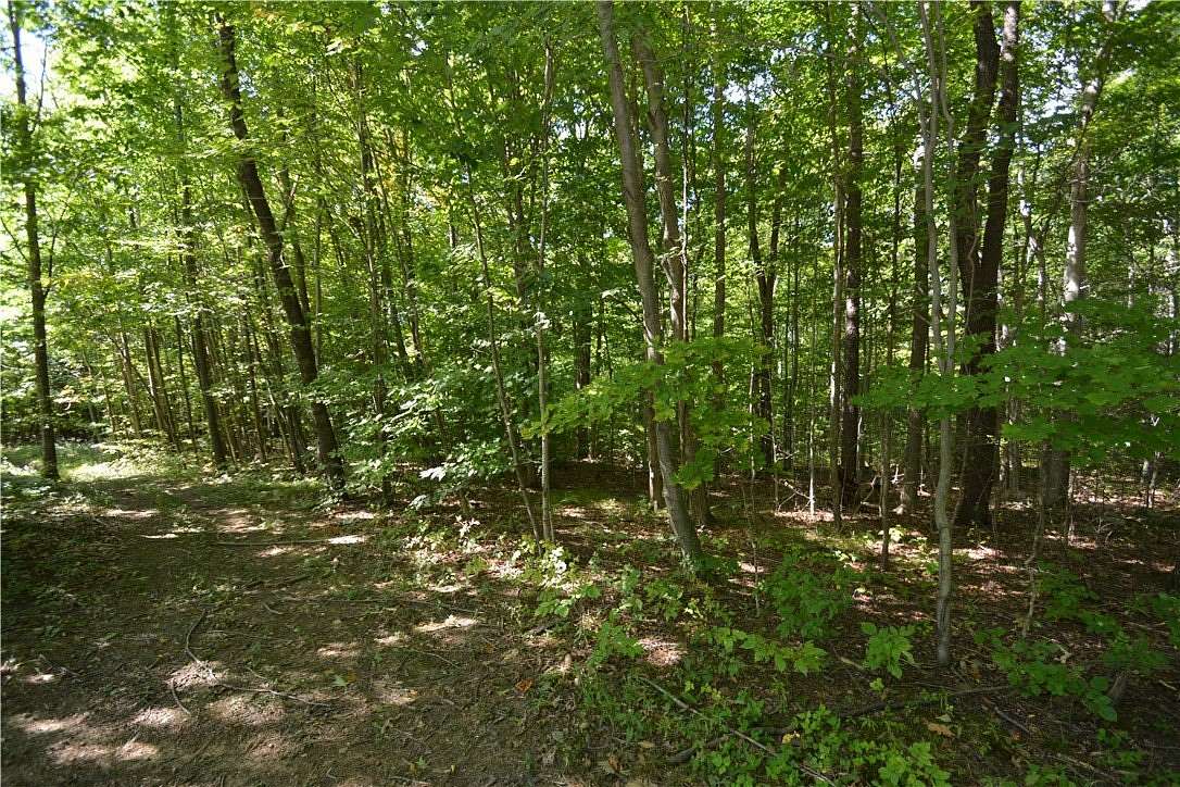 8.2 Acres of Improved Land for Sale in Naples, New York