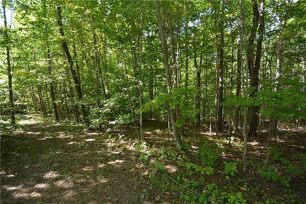 8.2 Acres of Land with Home for Sale in Naples, New York