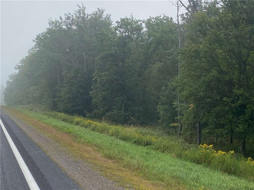 36.5 Acres of Land for Sale in Exeland, Wisconsin