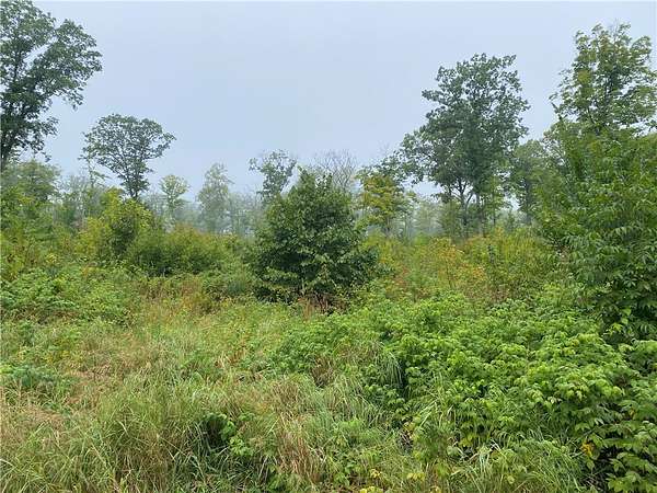 40.2 Acres of Land for Sale in Exeland, Wisconsin