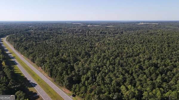 181 Acres of Land for Sale in Richland, Georgia