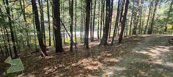 16.5 Acres of Land for Sale in Greenfield, New Hampshire