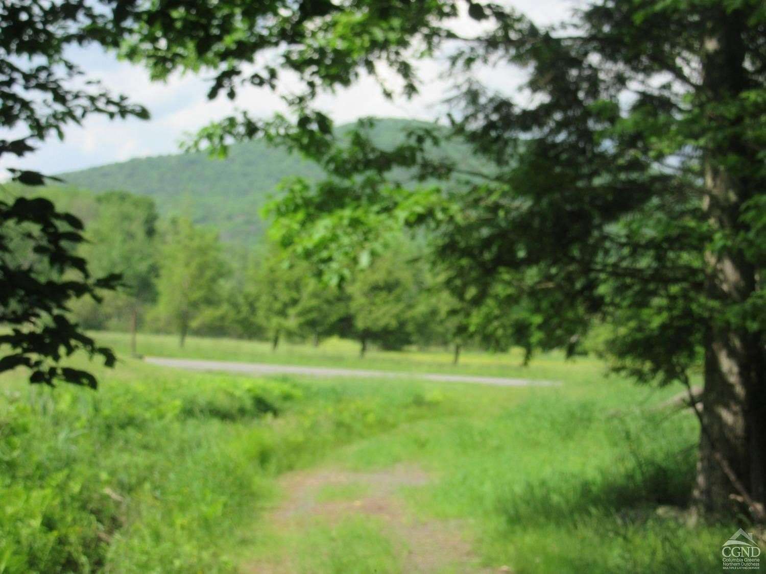 29.6 Acres of Recreational Land for Sale in Lexington, New York